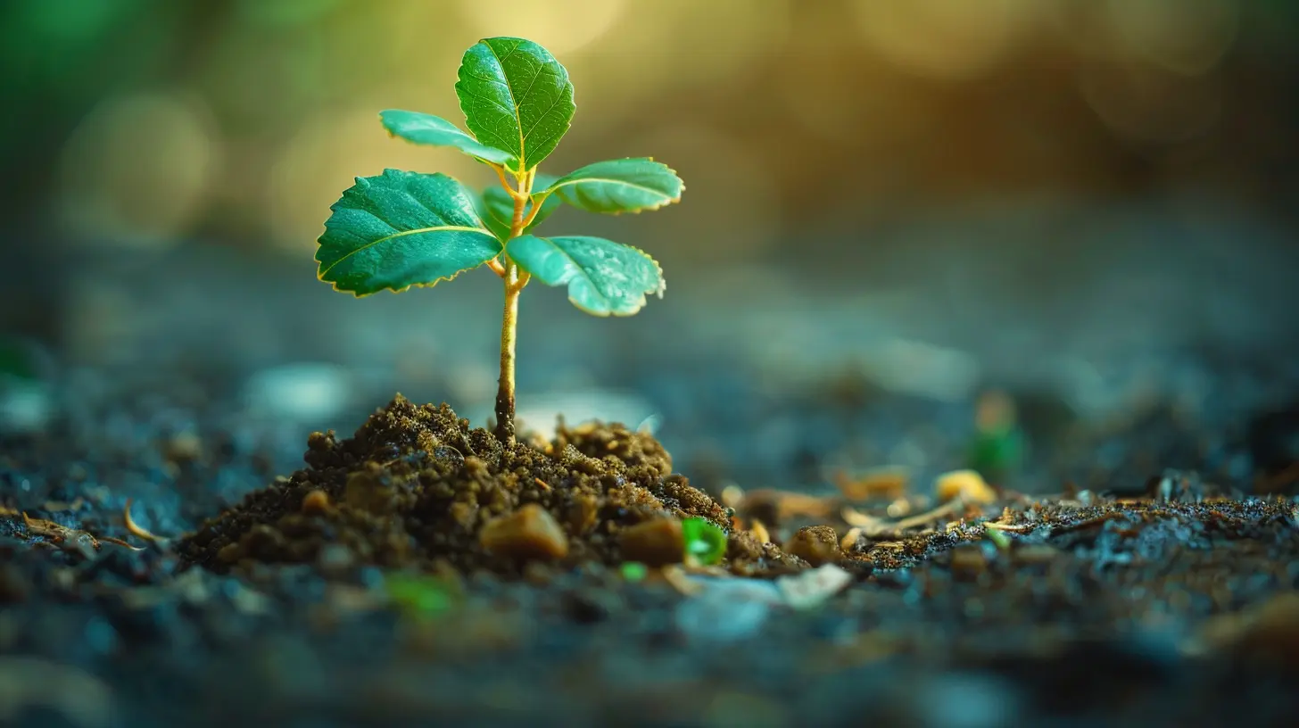 Compounding Interest on Credit Cards: The Silent Debt Builder