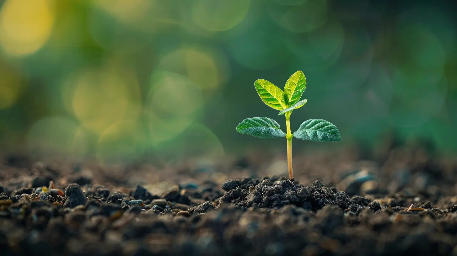 The Compounding Effect: How Small Changes Lead to Big Results
