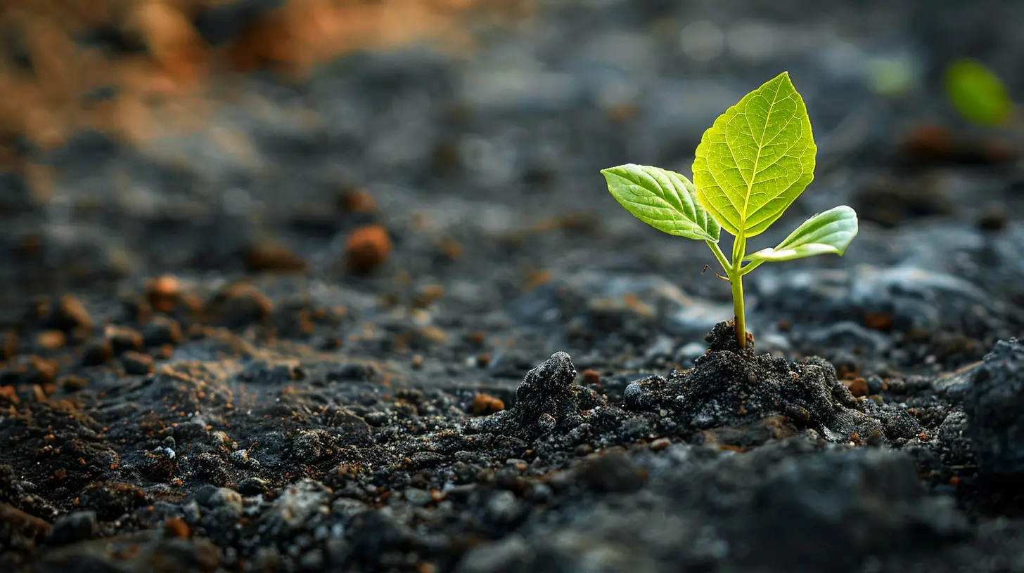 The Compounding Effect: How Small Changes Lead to Big Results