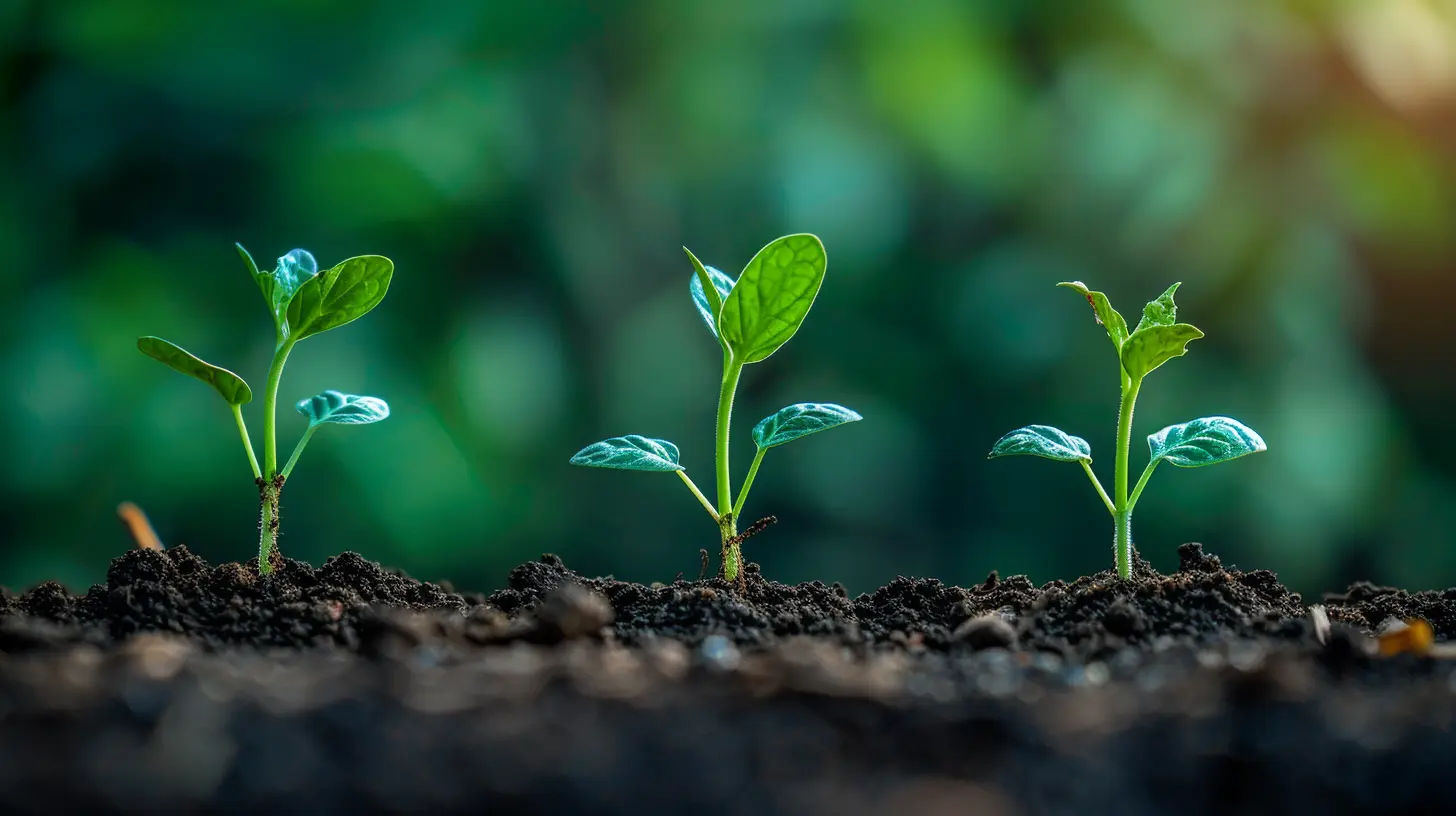Understanding the Frequency of Compounding and Its Impact on Returns