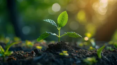 Building an Investment Portfolio for Long-Term Financial Stability