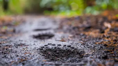 Financial Milestone Mapping: Your Step-by-Step Guide