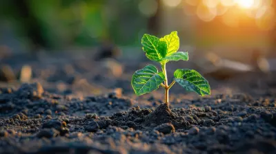 How Compound Interest Affects Dividend Reinvestment Plans