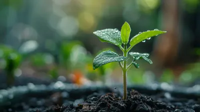 Micro Savings The Power Of Small Efforts Over Time