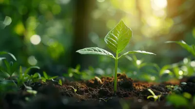 The Power of Dividend Growth ETFs in Your Portfolio