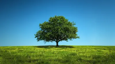 The Role of Minimalism in Accelerating Your Savings Goals