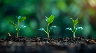 Understanding the Frequency of Compounding and Its Impact on Returns