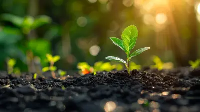 Understanding the True Value of Your Credit Card Points