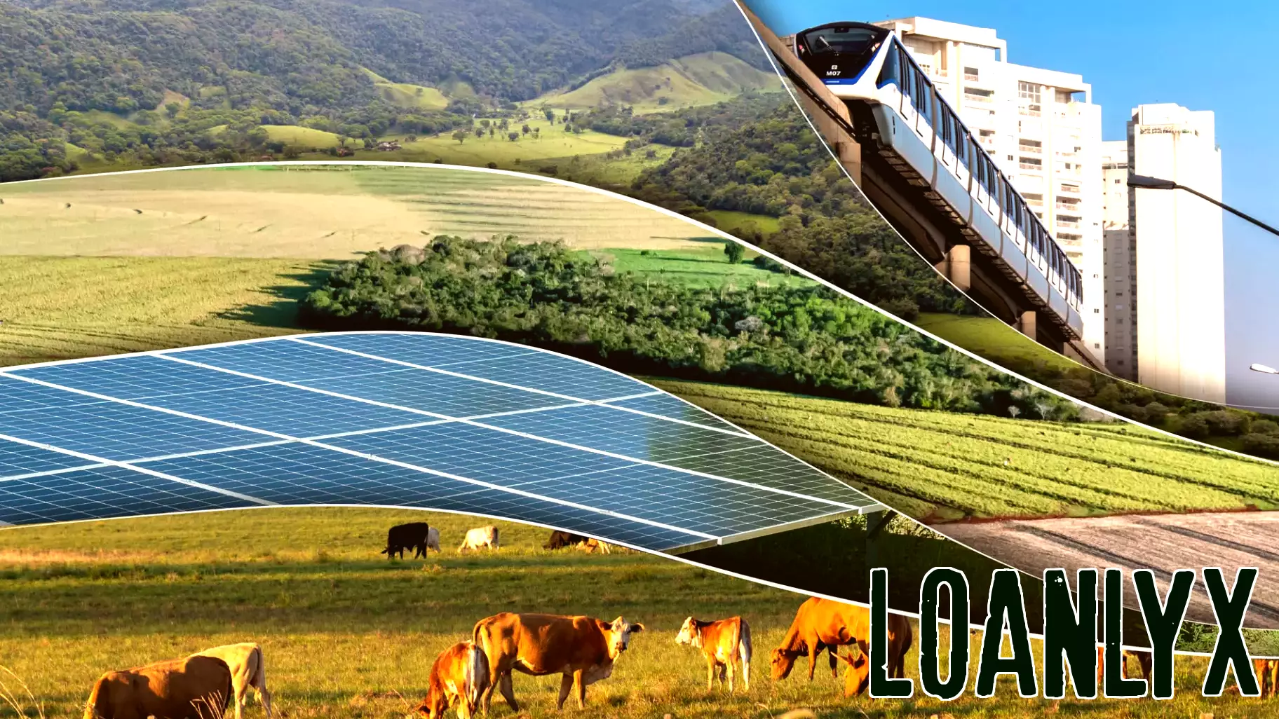 Analyzing Climate Finance Trends in Brazil