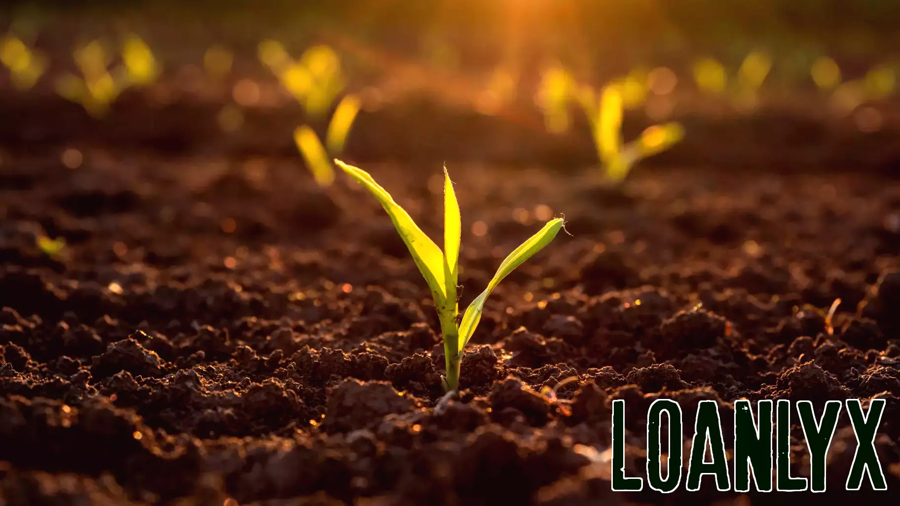 Stability in Agricultural Finances Amid Land Value Trends