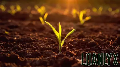 Stability in Agricultural Finances Amid Land Value Trends